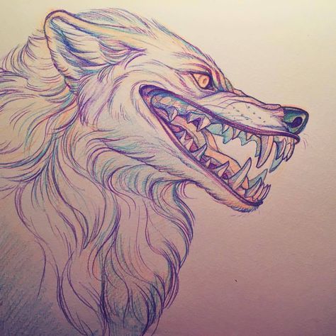 Scary Drawings, Creepy Drawings, Wolf Artwork, Arte Peculiar, Werewolf Art, Wolf Drawing, Canine Art, Dark Art Drawings, Animal Sketches