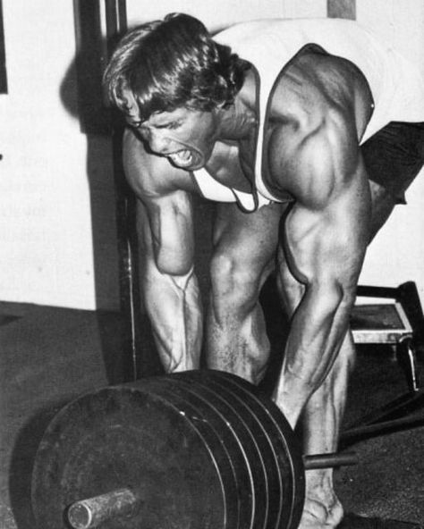 Golden Era Bodybuilding, Arnold Schwarzenegger Bodybuilding, Aesthetics Bodybuilding, Schwarzenegger Bodybuilding, T Bar Row, Bodybuilding Pictures, Vision Board Images, Brand Refresh, Basketball Wallpaper