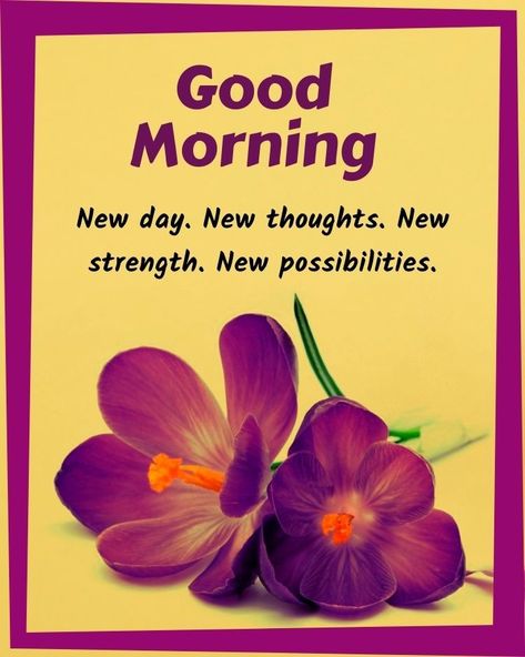 Pretty Flowers Good Morning, Best Good Morning Quotes In Hindi New, Good Morning Wishes In Hindi Friends, Fresh Morning Quotes, Good Morning Sunday Hindi, Latest Good Morning Images In Hindi, Talk To The Moon, Family Tree Quotes, Gif Good Morning