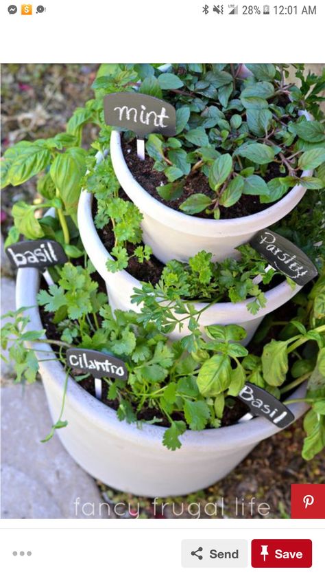 Apartment Patio Gardens, Small Herb Gardens, Small Patio Decor, Garden Patio Decor, Herb Garden Design, Budget Patio, Indoor Herb Garden, Herbs Indoors, Olive Garden