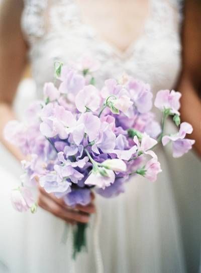 Elegant Pastel Inspiration via Magnolia Rouge Sweetpea Bouquet Wedding, Sweet Pea Flower Bouquet, Lilac Bride Bouquet, Sweet Pea Bouquet Wedding, Sweet Pea Bridesmaid Bouquet, Sweetpea Bouquet, Sweet Pea Wedding Bouquet, Sweet Pea Wedding Flowers, Lavender Sweet Pea