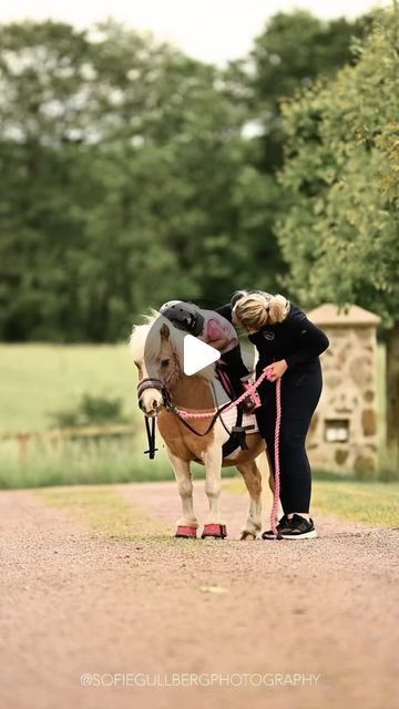 Johanna Due-Boje on Instagram: "That special first ride at home with your new pony 💕" Pony Videos, Horse Dress, Dream Yard, Horse Videos, Horse World, House Interior Decor, Verses, House Interior, At Home