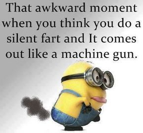 Jokes Minion, Funny Advice Quotes, Hilarious Images, Minion Humour, Grumpy Cats, Entertaining Videos, Funny Quotes And Sayings, Funny Advice, That Awkward Moment