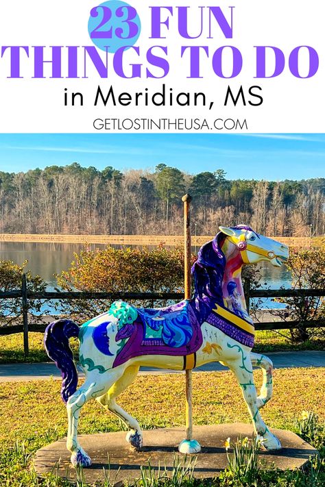 Meridian Mississippi, Mississippi Travel, Alabama Vacation, Queen City, Roadside Attractions, Historical Landmarks, Travel Time, Travel Bug, Cultural Experience