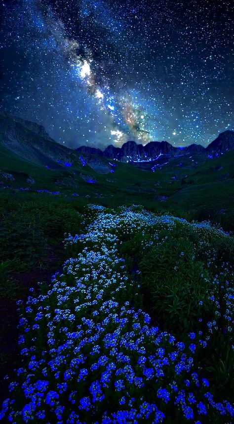 Star Pictures Night Aesthetic, Sky Blue Flowers Aesthetic, Space Sky Aesthetic, Majestic Sky Pictures, Amazing Nature Photography Real Heavens, Star Pictures Night, Flowers At Night Aesthetic, Blue Landscape Aesthetic, Space Aesthetic Background