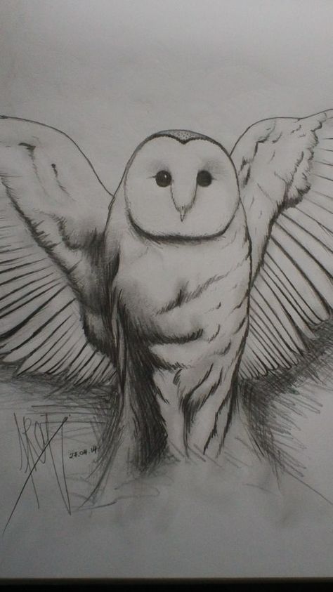 Deftones self titled album cover- barn owl drawing Deftones Drawing Ideas, Album Cover Drawings Easy, Deftones Owl Tattoo, Deftones Drawing Easy, Deftones Sketch, Fye Drawings, Album Cover Sketch, Deftones Self Titled, Deftones Owl