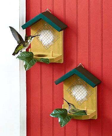 Set Of 2 Hummingbird Nesters | Hummingbird House, Humming Hummingbird Diy, Bird House Plans Free, Backyard Birds Sanctuary, Hummingbird Food, Hummingbird Nests, Hummingbird House, Bird House Feeder, Bird House Plans, Hummingbird Feeder