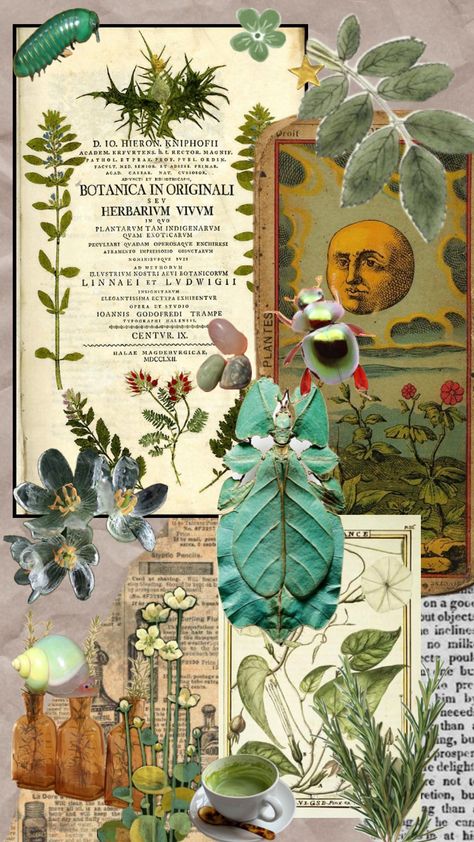 #plants #nature #bugs #entymology #herbology #green #biology #cottagecore Herbology Wallpaper, Poetry Ideas, Plants Nature, Your Aesthetic, Creative Energy, Biology, Bugs, Energy, Collage