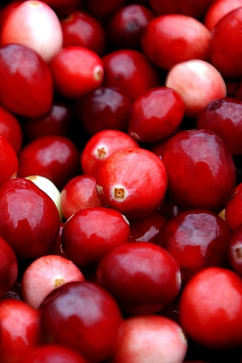 There's more to cranberries than just the colored jelly that comes out of a can. See how chefs are getting creative with this seasonal fruit. Cranberry Aesthetic, Cranberries Aesthetic, Cranberry Photography, Cranberry Pictures, Cranberry Juice Aesthetic, Red Berries Aesthetic, Cranberries Photography, Crockpot Peach Cobbler, Cranberry Bog