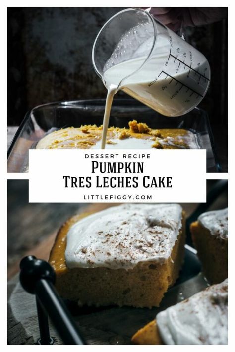 Easy to make and taste like fall, Pumpkin Tres Leches Cake recipe! A great cake recipe idea for Halloween parties, game day desserts, and a wonderful Thanksgiving dessert recipe to share. Get the recipe at Little Figgy Food! #desserts, #pumpkin #fallfoods, #cakerecipes #pumpkincake #sheetcakes #thanksgivingdesserts #halloweendesserts #treslechescake Pumpkin Tres Leches Cake Easy, Pumpkin Tres Leches Cake Recipe, Game Day Desserts, Pumpkin Tres Leches, Pumpkin Tres Leches Cake, Desserts Pumpkin, Tres Leches Cake Recipe, Idea For Halloween, Leches Cake