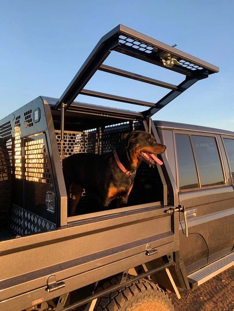 Custom Ute Box Gallery - Ozlocka Industries Truck Box Ideas, Dog Boxes For Truck, Dog Box Ideas, Custom Flatbed Truck Beds, Ute Tray Ideas, Truck Cargo Rack, Dog Box For Truck, Custom Truck Flatbeds, Custom Ute Trays