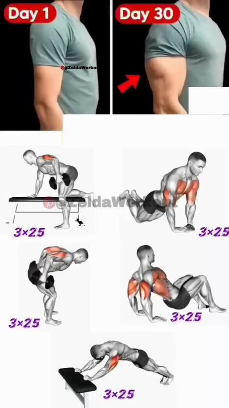 Tri Cep Exercise, Trishape Workout, Tri Ceps Workout, Tricep Workout Dumbell, Bi And Tri Workout, Tri Workout, Defined Arms, Gym Workout Routine, Bodyweight Back Workout