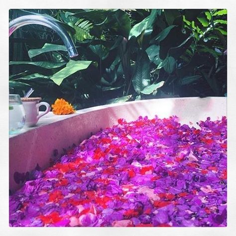 Bali flower baths are the best! Have you experienced a flower bath? 🌸 . . . . #utravlr #bali #travelphotography #travelgram #travel #travelblogger #iamtb #flowersofinstagram #flowers #flowerstagram #flowerbath #pinkaesthetic #purpleaesthetic #aesthetic #aestheticedits #aesthetics #likeforlikes #like4likes #instagood #instadaily #instalike #bath #bathtime #beautiful #spa #spaday #balilife #visitbali #balispa Bali Spa, Sunshine Girl, Flower Bath, Travel Instagram, Purple Aesthetic, Balinese, Travel Inspo, Tomato Salsa, Spa Day