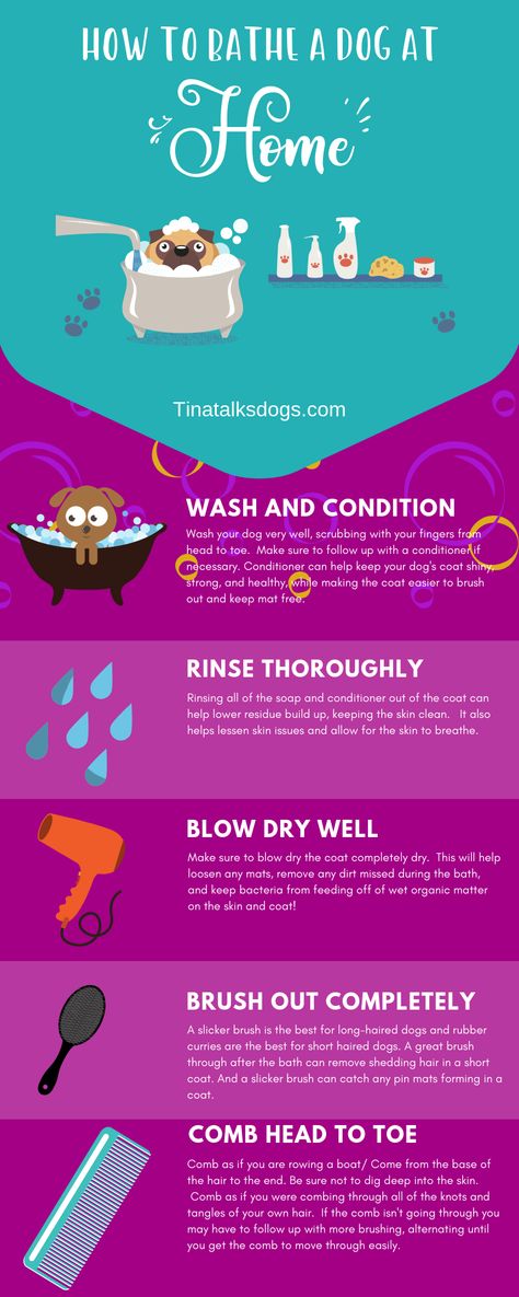 Ever wondered what the best bathe a dog at home tips are? Well look no further! As a dog groomer I am definitely helping pet parents understand how to keep up with their dog's hygiene. And it's important to properly bathe your dog as well.  I have some great dog bath tips for you!  #doggrooming #dogbathtips #brushdoghair #petgrooming #dog #doghair #dogbathdiy Dog Hygiene Tips, Dog Hygiene, Matted Dog Hair, Bath Tips, Dog At Home, Dogs Tips, Long Haired Dogs, Hygiene Tips, Dog Grooming Tips