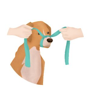 How To Make A Dog Muzzle Diy, Diy Dog Muzzle Homemade, Dog Muzzle Pattern Free, Diy Dog Muzzle Ideas, Diy Dog Muzzle, William Bailey, Big Dawgs, Pet First Aid, Pet Muzzles