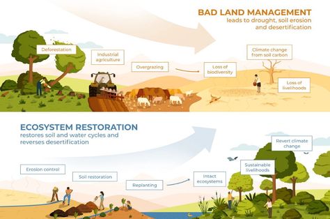 Making the Most of the ‘UN Decade on Ecosystems Restoration’: Bioregional Regenerative Development as a Deep Adaptation Pathway Ecosystem Restoration, Earth Day Quotes, Work Questions, Teacher Checklist, Nature Club, Agriculture Projects, Regenerative Farming, Plant Activities, Conservation Of Natural Resources