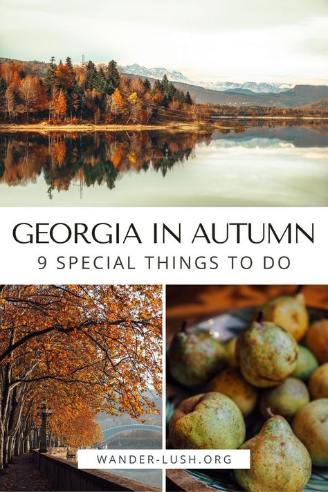 Georgia travel | Georgia Caucasus | Georgia Europe | Georgia in fall | Georgia in autumn | Things to do in Georgia in September | Tbilisi in September | Tbilisi in October | Tbilisi in November Things To Do In Georgia, Blairsville Georgia, Fall Traditions, Southern Usa, Helen Georgia, Travel Georgia, Best Pumpkin Patches, Autumn Travel, Visit Georgia