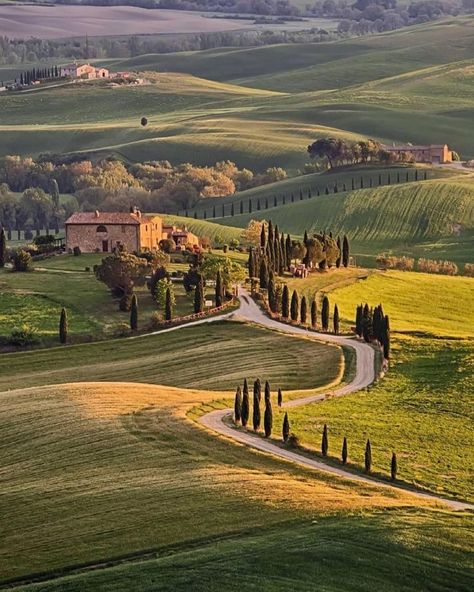 Tuscany Aesthetic, Tuscany Vineyard, Tuscany Landscape, Val D Orcia, Tuscany Travel, Toscana Italia, Italian Countryside, Italy Aesthetic, Countryside House