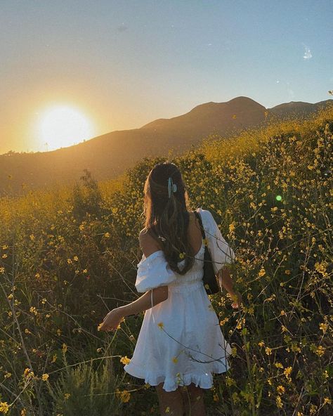 Yuyan on Instagram: “somewhere in malibu🌙🧚🏻” Whisper Background Photos, Whisper Background, Spring Senior Pictures, Senior Photoshoot Poses, Quinceanera Photoshoot, Sunset Girl, Senior Photo Outfits, Flower Photoshoot, Girl Background