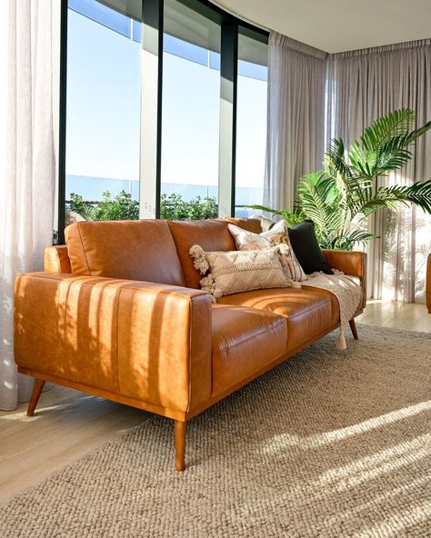 Love how that natural light hits the tan leather on our Aviana lounge 😍 #EurekaFurniture #comtemporaryliving #contemporaryhome #contemporarystyle #tanleatherlounge #tanleathersofa #leatherlounge #contemporaryfurniture #modernsofa [Image: Sun rays hitting a tan leather lounge through a luxury living room window in a contemporary setting] Tan Leather Lounge, Tan Leather Sofas, Living Room Window, Lounge Looks, Room Window, Sofa Online, Living Room Windows, Leather Lounge, Furniture Care