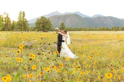 Buffalo Park Flagstaff Arizona Elopement Photographer: Katie and Dylan Flagstaff Wedding Venues, Flagstaff Arboretum Wedding, Flagstaff Elopement, Buffalo Botanical Gardens Wedding, Arizona Microwedding, Patapsco Valley State Park Wedding, Flagstaff Wedding, Arizona Elopement, Arizona Wedding Venues