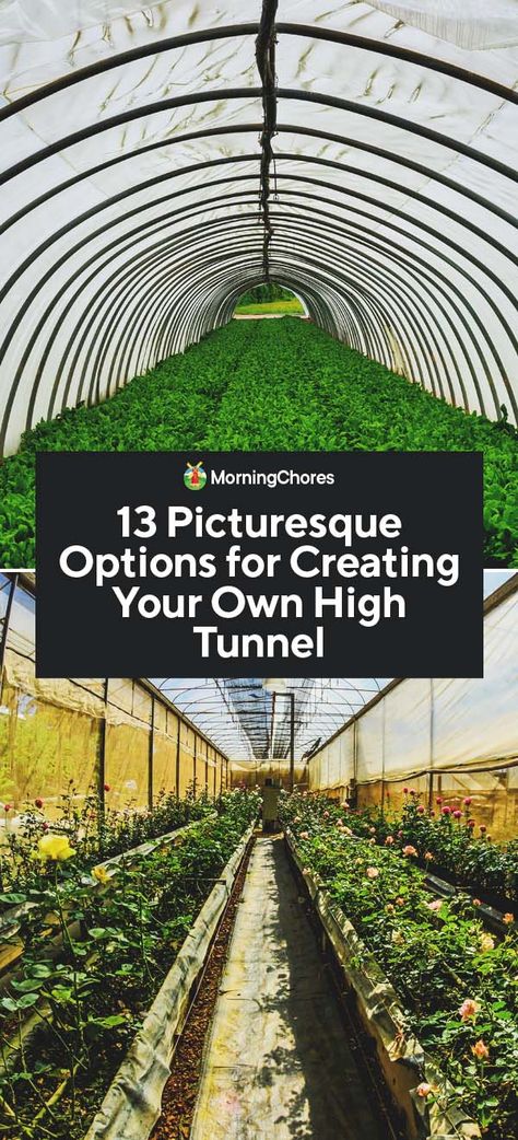 13 DIY High Tunnel Ideas to Build in Your Garden High Tunnel, Cheap Greenhouse, Modern Greenhouses, Tunnel Greenhouse, Best Greenhouse, Gardening Guide, Outdoor Greenhouse, Build A Greenhouse, Greenhouse Ideas