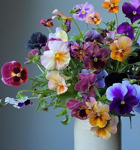 Garden Wedding Bouquet, Flower Reference, Summer Garden Wedding, Flower Farmer, Pansies Flowers, Cut Flower Garden, No Rain, Flower Therapy, Beautiful Flower Arrangements