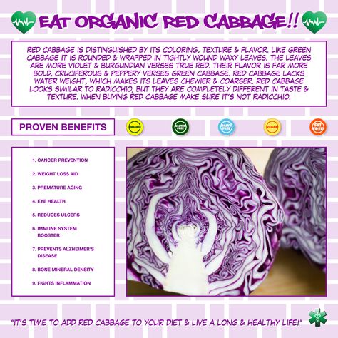 Red Cabbage Benefits, Cabbage Juice Benefits, Cabbage Health Benefits, Cabbage Benefits, Cabbage Juice, Dairy Free Breastfeeding, Vegetable Benefits, Improve Nutrition, Purple Cabbage