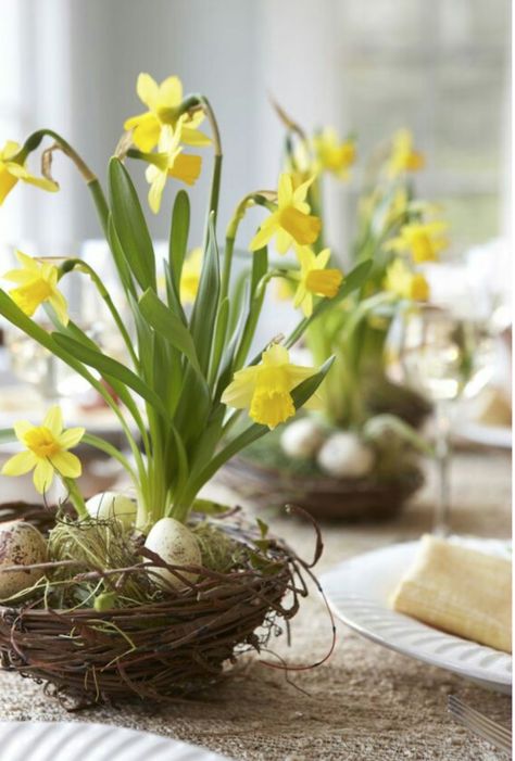 Easter Flower Arrangements, Spring Flower Arrangements, Tafel Decor, Spring Arrangements, Speckled Eggs, Easter Tablescapes, Spring Tablescapes, Yellow Daffodils, Easter Flowers