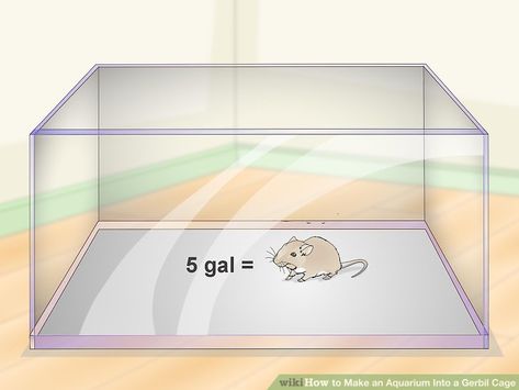 3 Ways to Make an Aquarium Into a Gerbil Cage - wikiHow Gerbil Cage Ideas, Gerbil Toys, Aspen Bedding, Gerbil Cages, Glass Aquarium, Exercise Wheel, Hamster Cage, Gerbil, Clean Towels