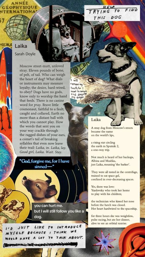 Laika the space dog collage Laika Dog, Dog Collage, Dog Poetry, You Deserve The World, Space Dog, Very Inspirational Quotes, Look At The Stars, Story Writing, Patron Saints