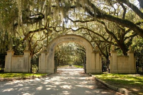 Wormsloe Historic Site in Georgia Is A Stunning Oak-Lined Road Wormsloe Savannah Ga, Savannah Hotels, Savannah Historic District, Bonaventure Cemetery, Georgia Coast, Georgia Vacation, Forsyth Park, Savannah Georgia, Savannah Ga