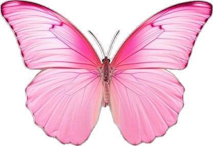 Pink Buterfluffy, Butterfly Animal, Animal Body Parts, Animal Wildlife, Wildlife Animals, Purple Butterfly, Pink Butterfly, One Sided, Photo Illustration