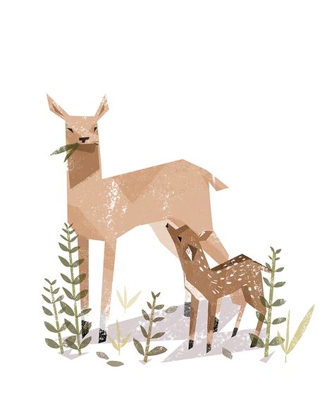 Bailey Illustration, Deer Illustration, 캐릭터 드로잉, Oh Deer, Arte Animal, Art And Illustration, Illustration Inspiration, Illustrations And Posters, Childrens Illustrations