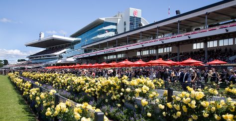 Flemington Racecourse. See more race courses at http://www.racingfuture.com/content/horse-racing-venues-clubs-around-world Flemington Racecourse, Racing Club, Horse Race, Melbourne Cup, Cup A, The Race, The Culture, Melbourne Australia, Horse Racing