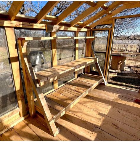 Greenhouse Shed Combo, Greenhouse Shelves, Chicken Coop Garden, Diy Greenhouse Plans, Green House Design, Outdoor Greenhouse, Greenhouse Shed, Homestead Gardens, Backyard Greenhouse