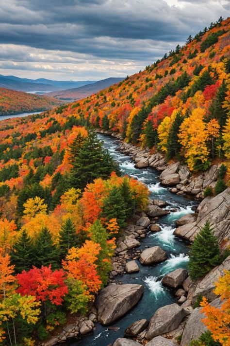 Autumn Splendor: Best Places to Witness New Hampshire&#8217;s Fall Foliage Fall In New Hampshire, New Hampshire Aesthetic, Facebook Backgrounds, Autumn Video, New Hampshire Fall, Fall Landscapes, Fall Landscape Photography, Fall Trees, Scenic Road Trip