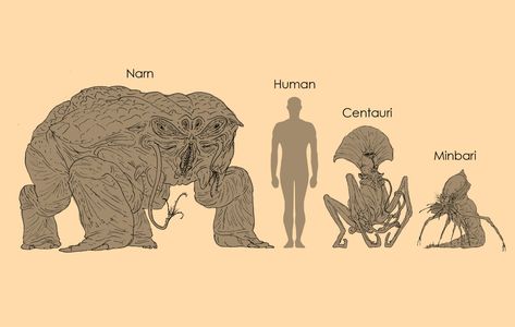 (1) Not the type of thing I'd usually post, but I decided to redesign the main three alien designs from the sci-fi show Babylon 5!... – @thecruxarm no Tumblr Alien Society Concept Art, Alien Biology, Fictional Disease Art, Types Of Aliens, Alien Horror, Spec Evo, Monster Alien, Speculative Biology, Weird Design