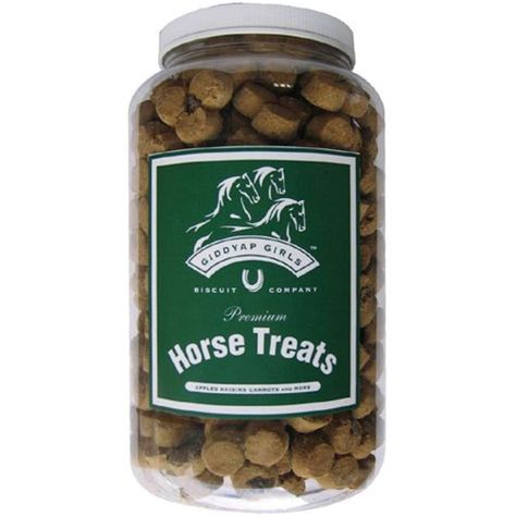 Homemade Horse Treats, Horse Food, Mini Pony, Horse Treats, Clear Jars, Pet Treats, Beautiful Horses, Vitamins And Minerals, Raisin