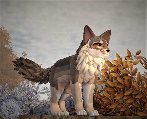 Wcue Morph Ideas Long Hair, Wcue Morph Non Cat, Wcue Non Cat Morphs, Long Muzzle Warrior Cat, Wcue Morph Ideas Wolf, Realistic Warrior Cat Morphs, Non Cat Wcue Morph, Wcue Morph Ideas Non Cat, Wcue Morph Ideas Realistic