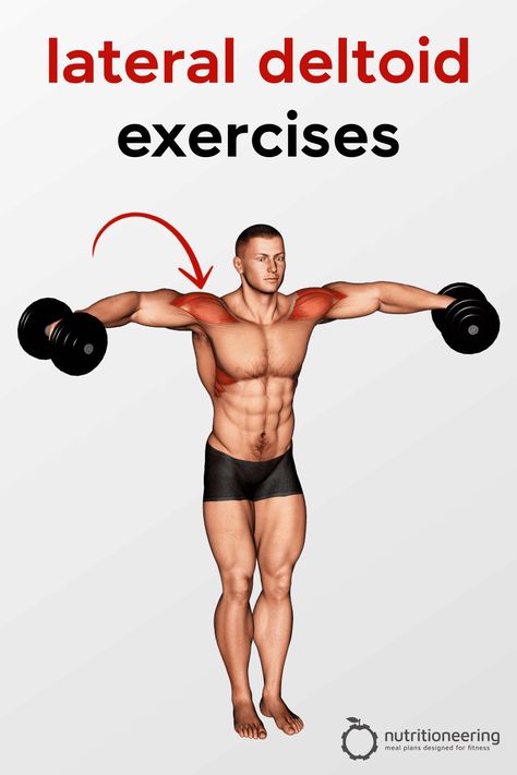 Lateral Deltoid Exercises Pinterest Middle Deltoid Workout, Lateral Deltoid Workout, Rear Deltoid Exercises, Deltoid Exercises, Delts Workout, Capped Shoulders, Deltoid Workout, Post Workout Supplements, Shoulders Workout