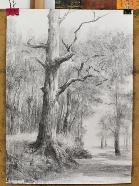 Capturing Tranquility: Pencil Tree Sketches Tree Trunk Drawing, Tree Pencil Sketch, Nature Sketches Pencil, Pencil Sketches Landscape, Pencil Tree, Landscape Pencil Drawings, Tree Drawings Pencil, Pencil Trees, Beauty Culture