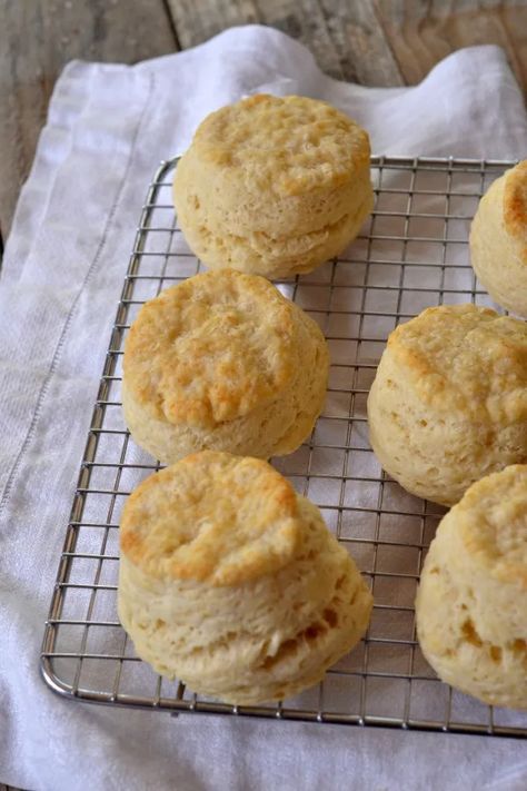 High Altitude Biscuit Recipe, Easy Biscuit Recipe, High Altitude Baking, Buttermilk Biscuits Recipe, Homemade Biscuits, Buttermilk Biscuits, Homemade Jam, High Altitude, Biscuit Recipe