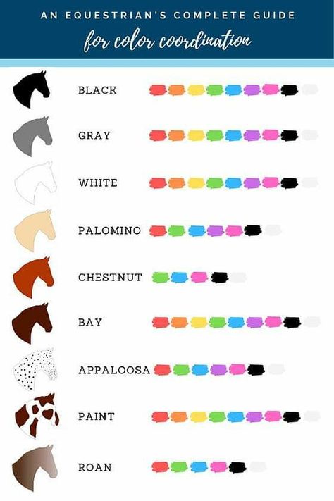 Horse Tack Color Guide, Horse Tack Color Chart, Tack Colors For Horses, Horse Color Chart Tack, Palomino Horse Tack Color, Palomino Tack Colors, Wild Horse Island Roblox Horses, Wild Horse Islands Tack Ideas, Bay Horse Tack Colors