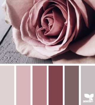 Petaled tones Amnesia Rose, Design Seed, Rose Beautiful, Design Seeds, Colour Board, Bedroom Colors, Colour Schemes, Color Pallets, Color Swatches