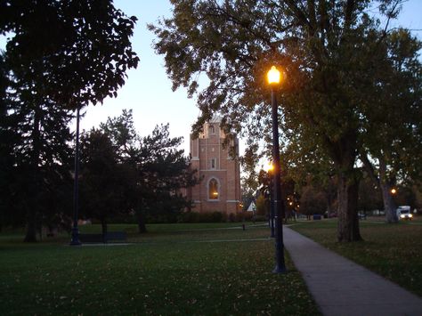 University of Northern Colorado Colorado Mesa University, University Of Northern Colorado, Boulder University Colorado, Colorado University, University Of Colorado Denver, Healthy Vision, Colorado Aesthetic, Happy Birthday Steve, University Of Colorado Boulder