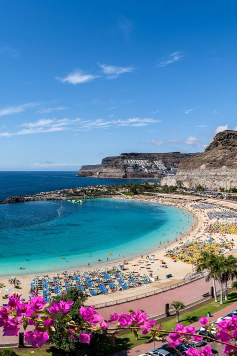 Tenerife of Gran Canaria; welk eiland past bij jou? Canary Islands Spain, Holiday Places, Dream Holiday, Island Vacation, Travel Memories, Canary Islands, Spain Travel, Travel Inspo, Dream Destinations