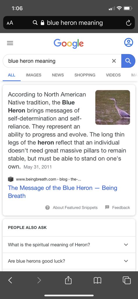 Blue heron meaning for tattoo Blue Heron Symbolism, Great Blue Heron Meaning, Blue Heron Spiritual Meaning, Blue Heron Meaning, Heron Meaning, Heron Symbolism, Blue Heron Tattoo, Native American Beliefs, Heron Tattoo