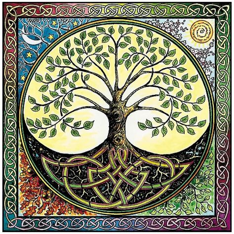 Celtic Oak Tree, Bizarre Art, Tree Of Life Tattoo, Celtic Tree Of Life, Celtic Tree, Celtic Symbols, Wheel Of Life, Family Art, Celtic Designs