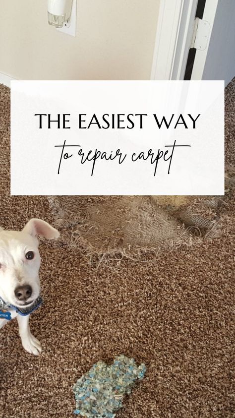 Carpet Patch Repair, Diy Carpet Repair, How To Fix Carpet Torn Up By Dogs, How To Patch Carpet, Carpet Repair, Diy Projects For Men, Patch Hole, Diy Remedies, Diy Carpet